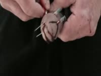 Dick gets filled with blood after inserting a lot of needles